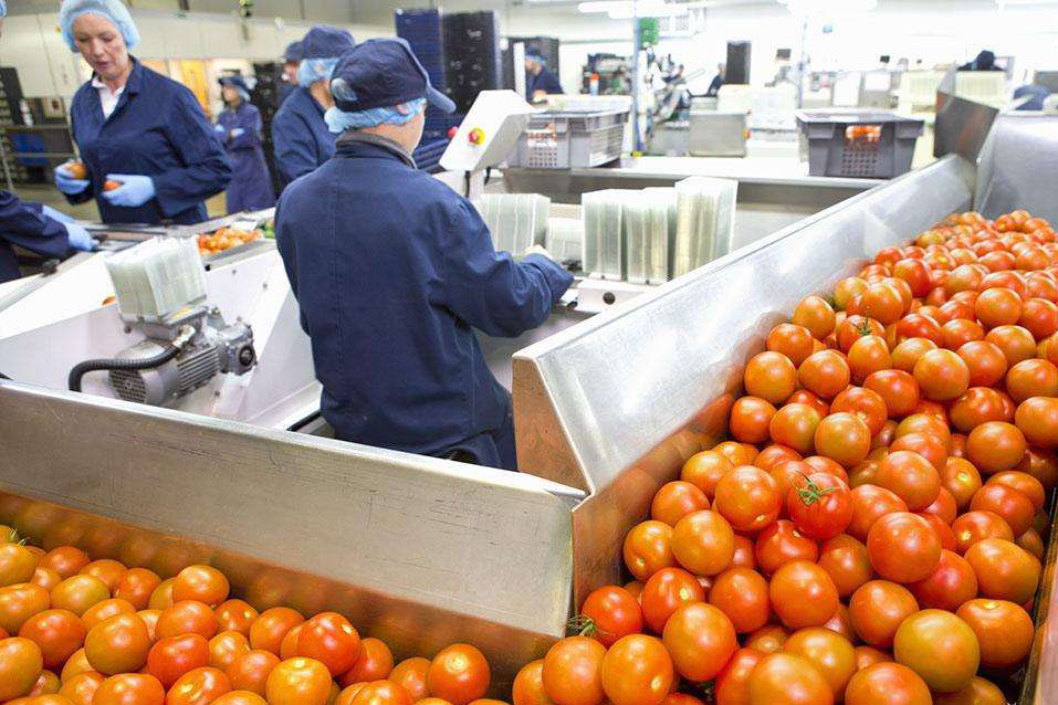 過量濕度對食品加工和倉儲的影響