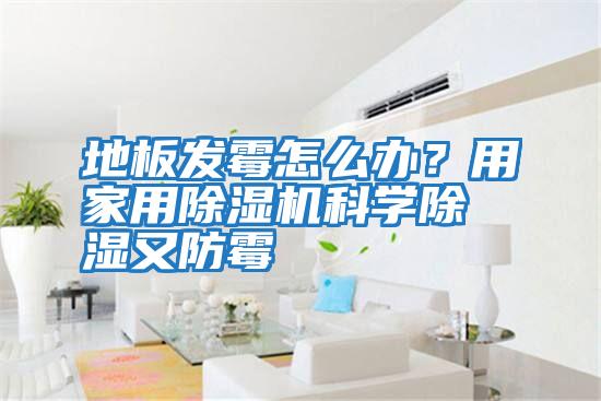 地板發霉怎么辦？用家用除濕機科學除濕又防霉