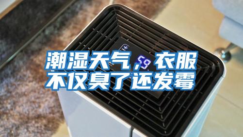 潮濕天氣，衣服不僅臭了還發霉