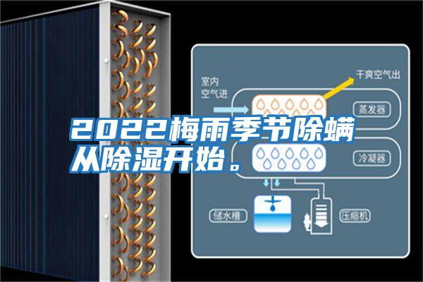 2022梅雨季節(jié)除螨從除濕開(kāi)始。