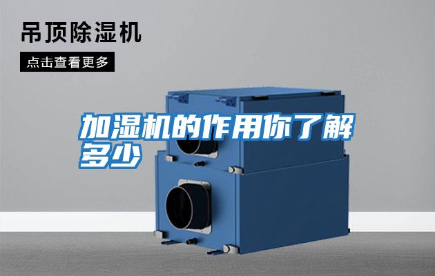 加濕機的作用你了解多少