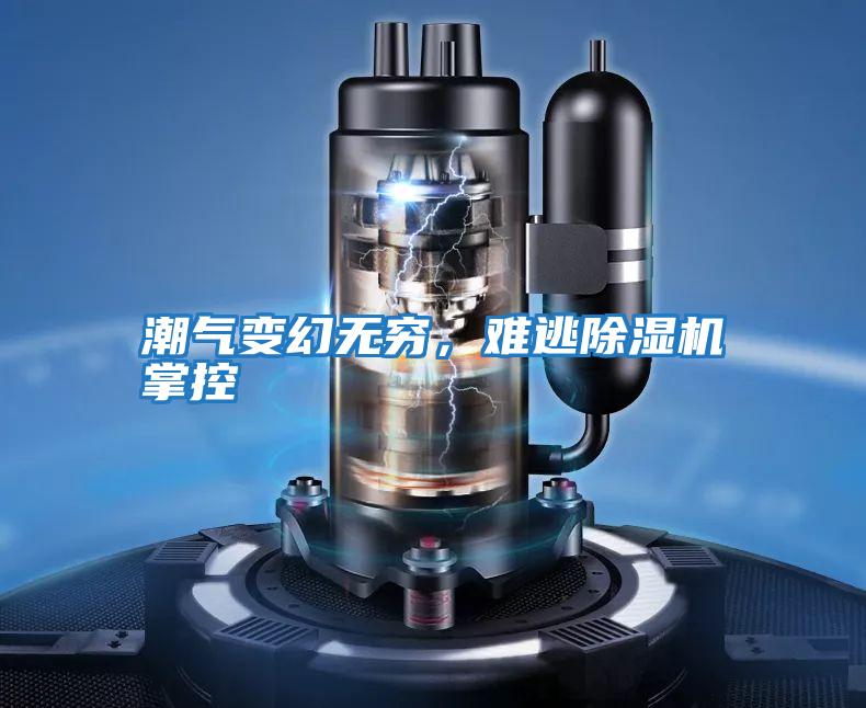 潮氣變幻無(wú)窮，難逃除濕機(jī)掌控