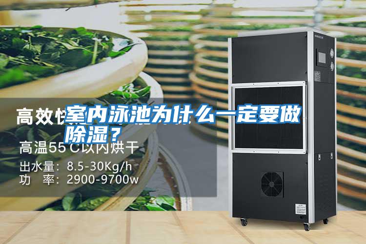 室內(nèi)泳池為什么一定要做除濕？