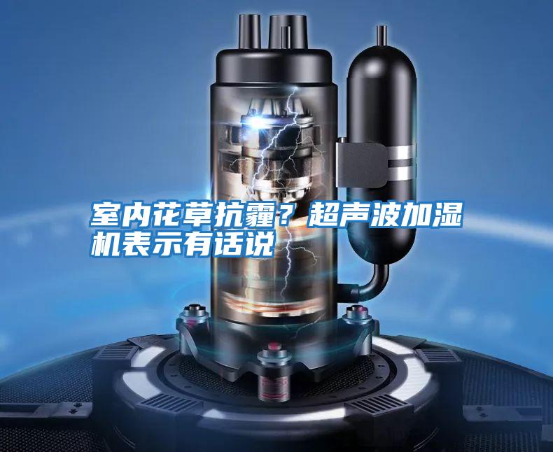 室內花草抗霾?超聲波加濕機表示有話說