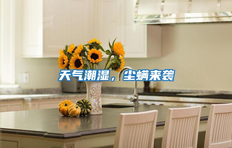 天氣潮濕，塵螨來襲