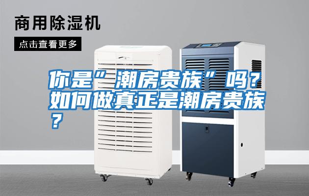 你是”潮房貴族”嗎？如何做真正是潮房貴族？