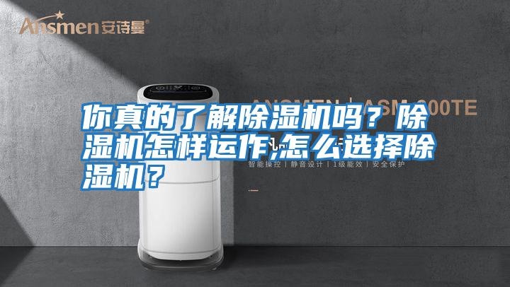 你真的了解除濕機嗎？除濕機怎樣運作,怎么選擇除濕機？