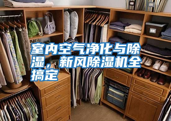室內空氣凈化與除濕,新風除濕機全搞定