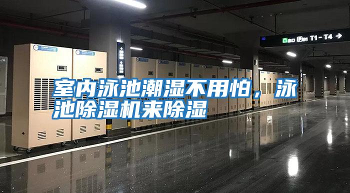 室內(nèi)泳池潮濕不用怕,泳池除濕機來除濕