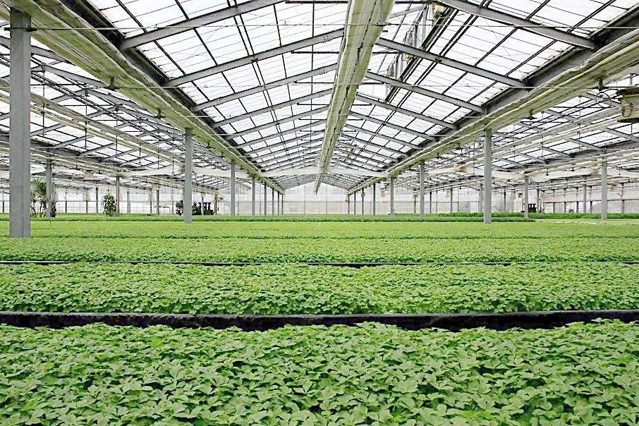 1545357798813712.jpg 未標題-2.jpg