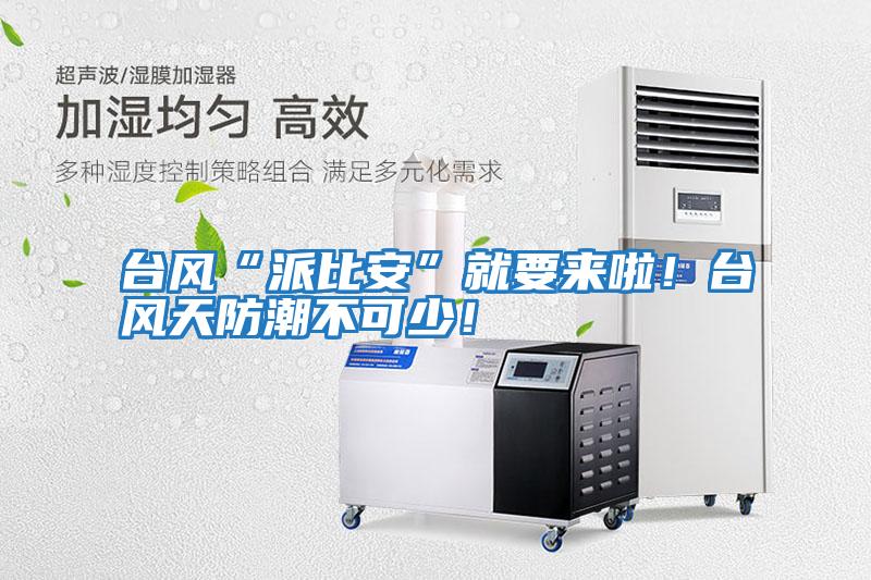 臺風“派比安”就要來啦！臺風天防潮不可少！