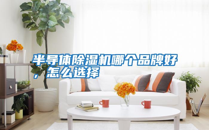 半導(dǎo)體除濕機(jī)哪個(gè)品牌好,怎么選擇