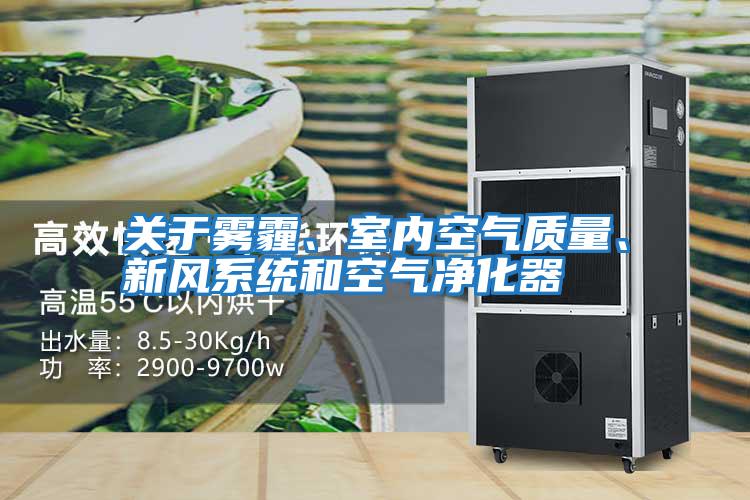 關于霧霾、室內空氣質量、新風系統和空氣凈化器