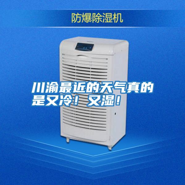 川渝最近的天氣真的是又冷！又濕！