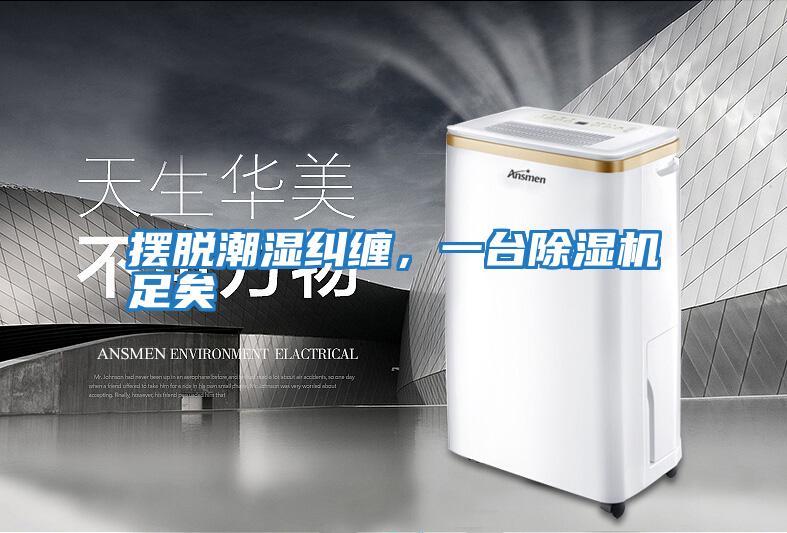 擺脫潮濕糾纏，一臺除濕機足矣