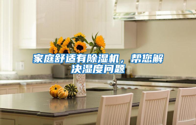 家庭舒適有除濕機，幫您解決濕度問題