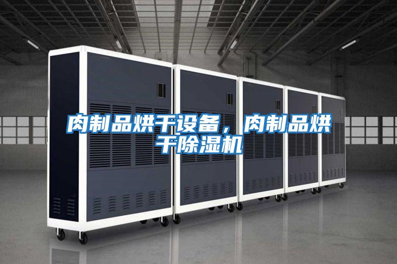 肉制品烘干設備，肉制品烘干除濕機