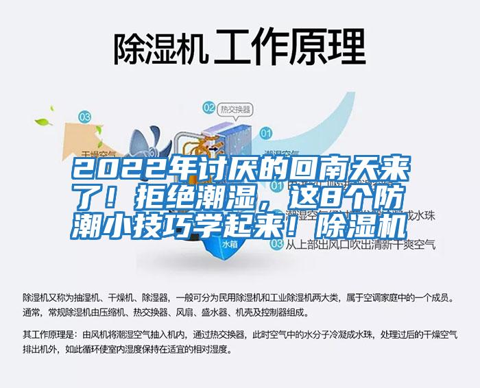 2022年討厭的回南天來了！拒絕潮濕，這8個防潮小技巧學起來！除濕機