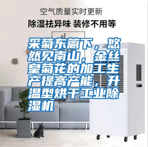 采菊東籬下，悠然見南山，金絲皇菊花的加工生產提高產能，升溫型烘干工業(yè)除濕機