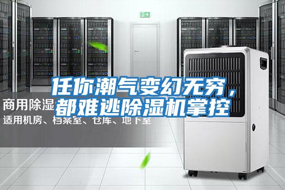 任你潮氣變幻無窮，都難逃除濕機掌控