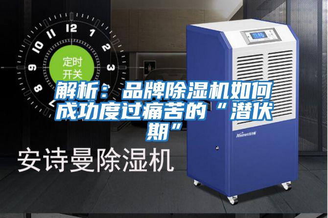解析:品牌除濕機(jī)如何成功度過(guò)痛苦的“潛伏期”