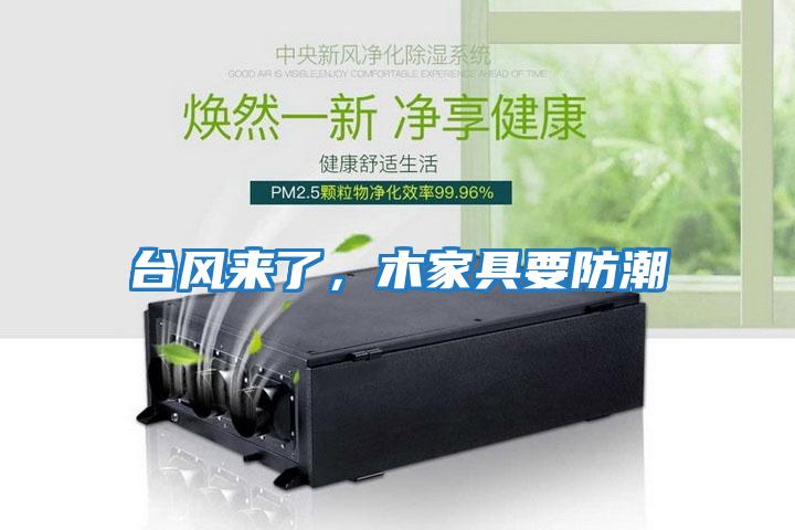 臺風來了，木家具要防潮