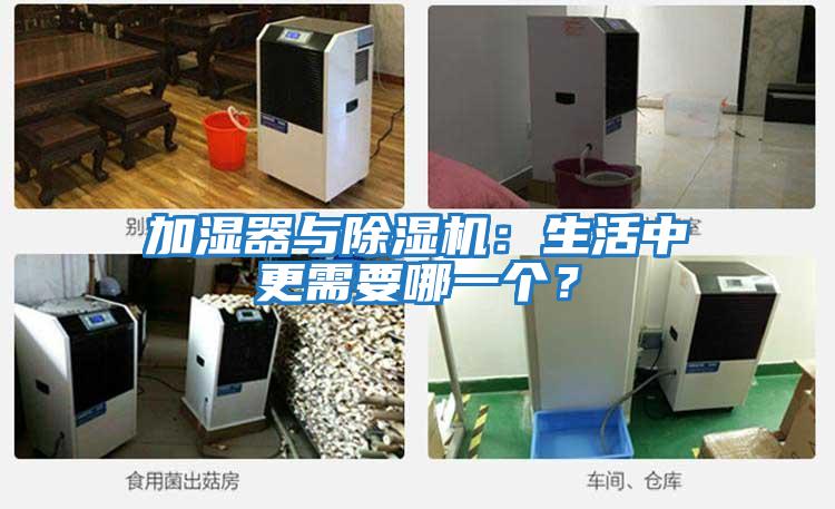 加濕器與除濕機：生活中更需要哪一個？