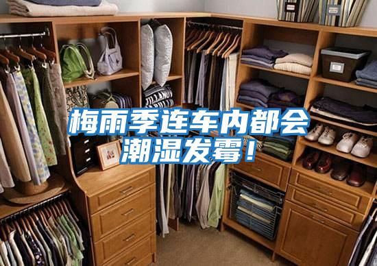 梅雨季連車內(nèi)都會潮濕發(fā)霉!