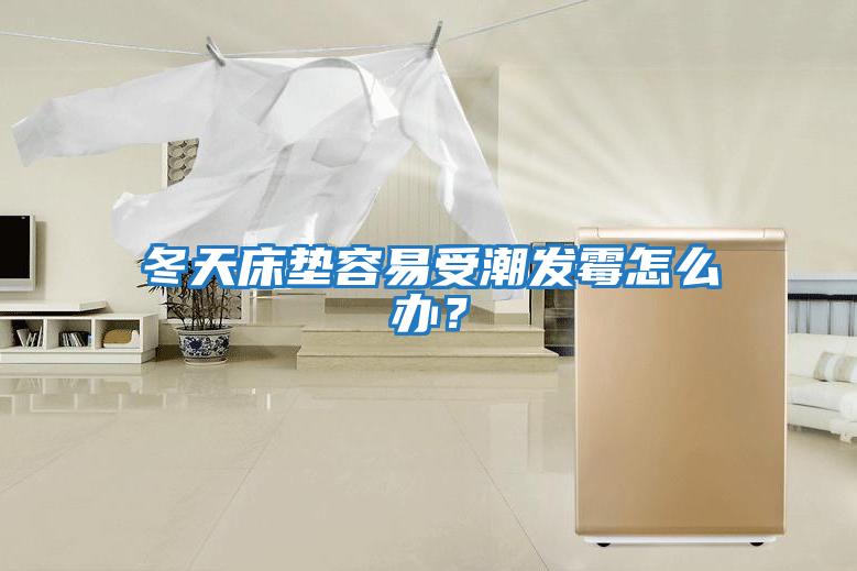 冬天床墊容易受潮發霉怎么辦?