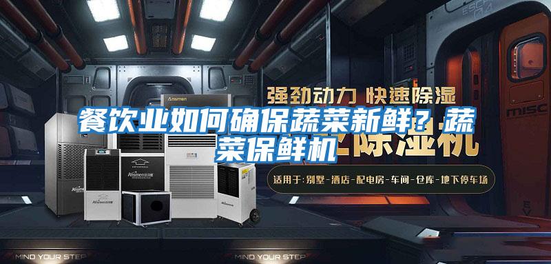 餐飲業如何確保蔬菜新鮮？蔬菜保鮮機