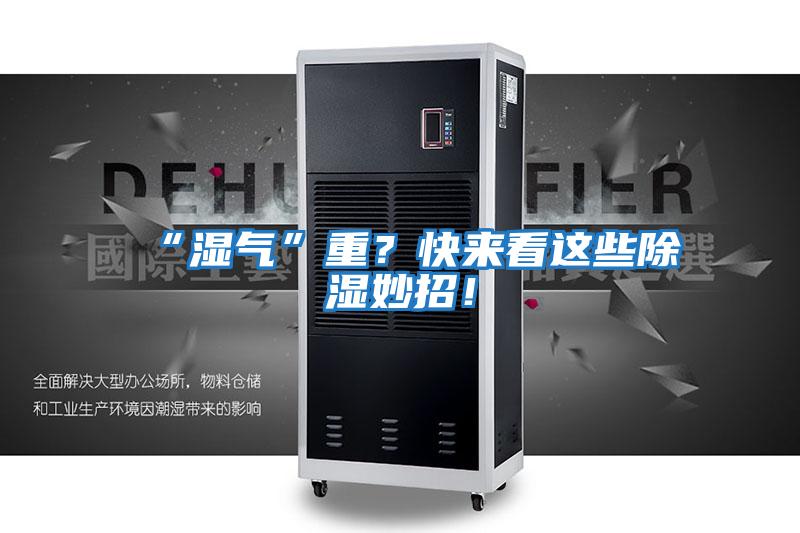 “濕氣”重?快來看這些除濕妙招!