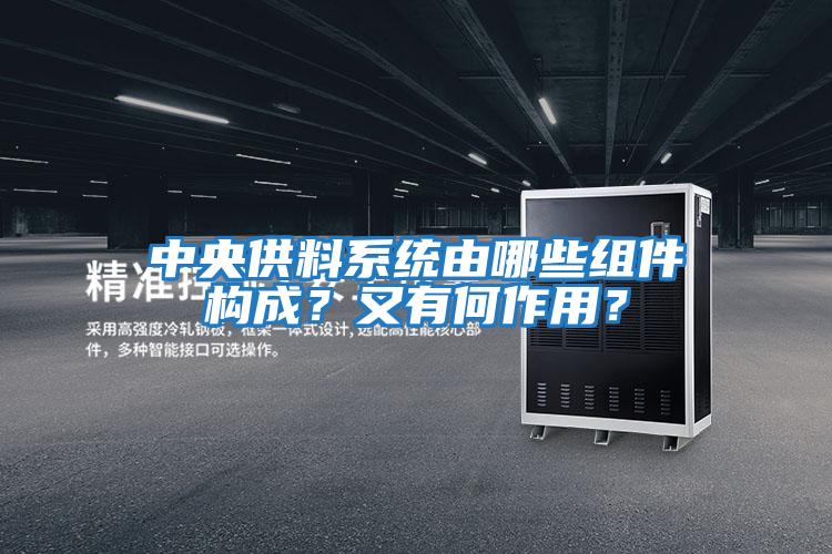 中央供料系統由哪些組件構成？又有何作用？