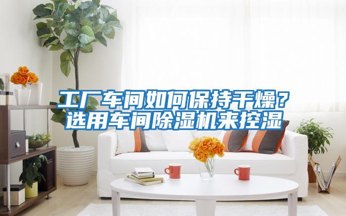 工廠車間如何保持干燥？選用車間除濕機來控濕