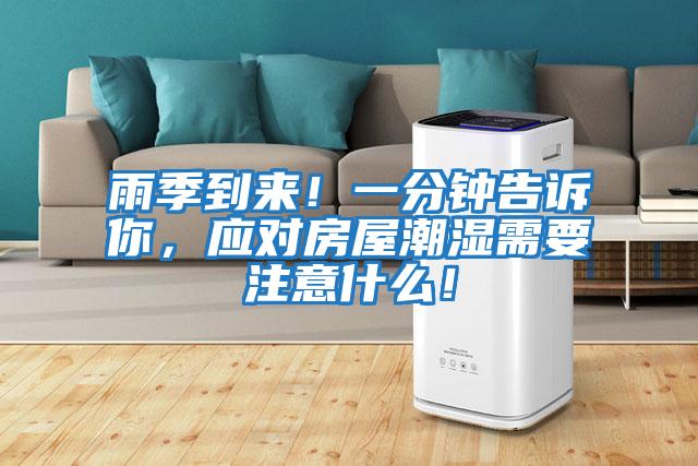 雨季到來！一分鐘告訴你，應對房屋潮濕需要注意什么！