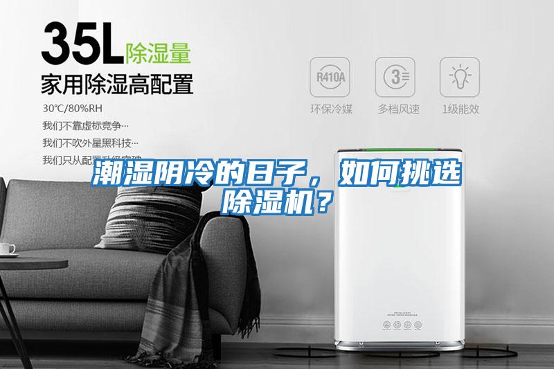 潮濕陰冷的日子，如何挑選除濕機？