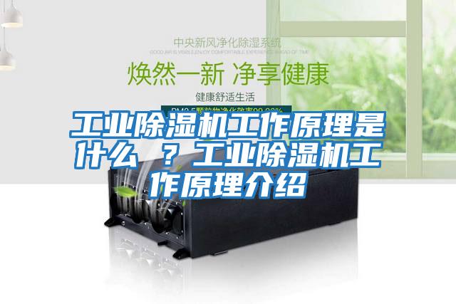 工業除濕機工作原理是什么 ?工業除濕機工作原理介紹