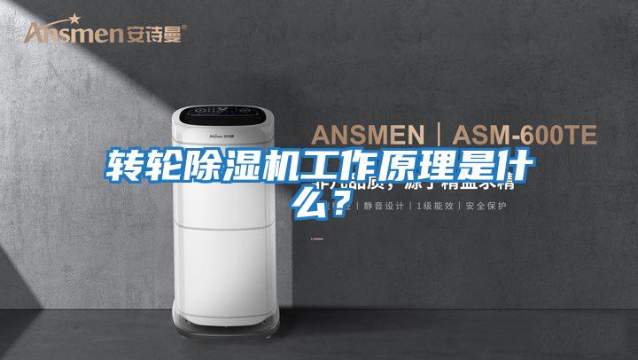 轉輪除濕機工作原理是什么？