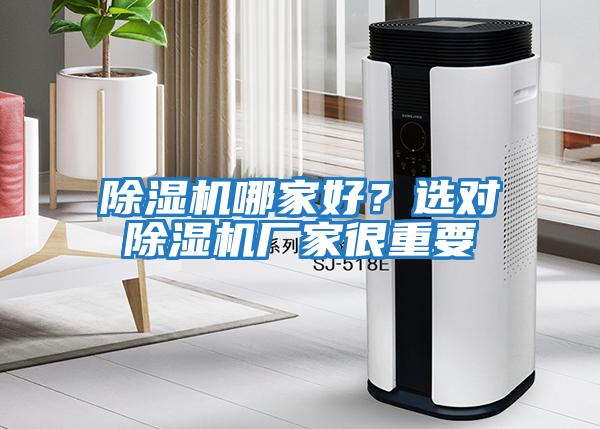除濕機哪家好？選對除濕機廠家很重要