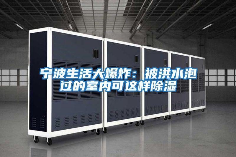 寧波生活大爆炸:被洪水泡過(guò)的室內(nèi)可這樣除濕