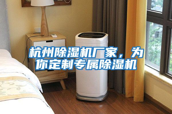 杭州除濕機廠家，為你定制專屬除濕機