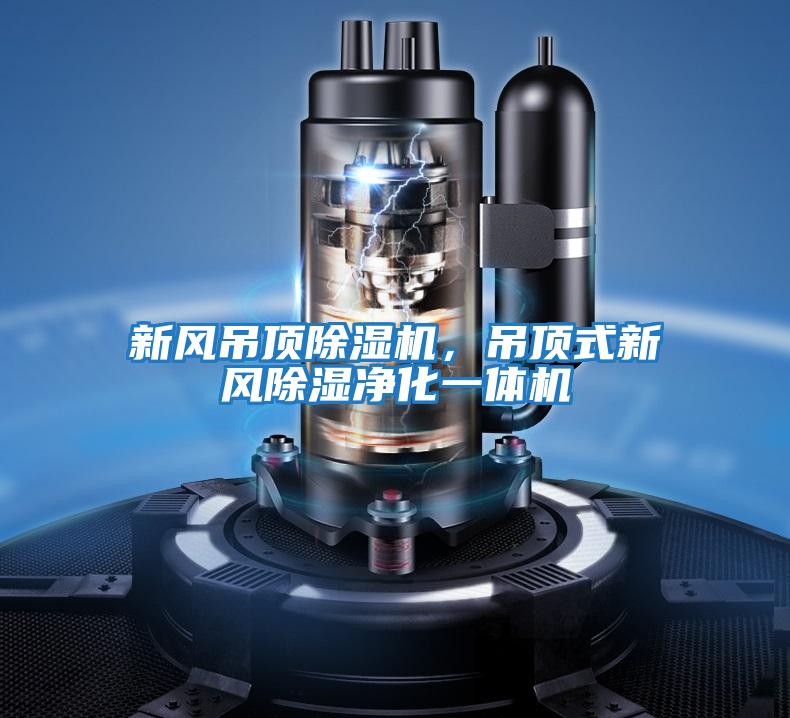 新風吊頂除濕機，吊頂式新風除濕凈化一體機