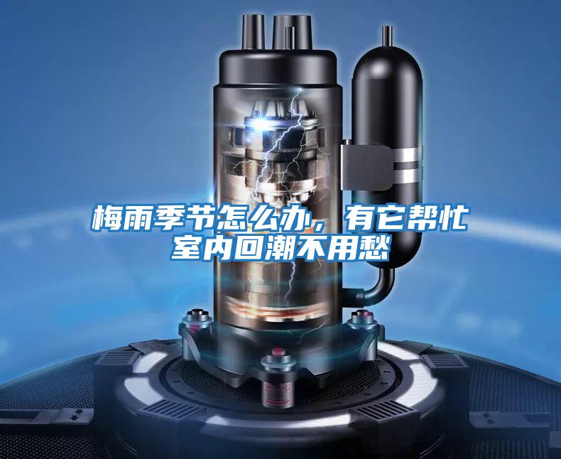 梅雨季節怎么辦，有它幫忙室內回潮不用愁