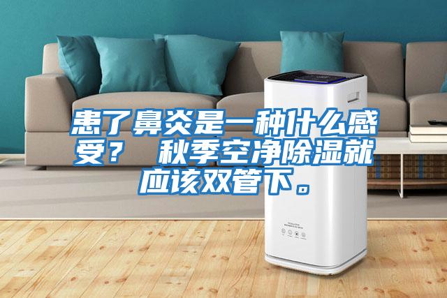 患了鼻炎是一種什么感受？ 秋季空凈除濕就應該雙管下。