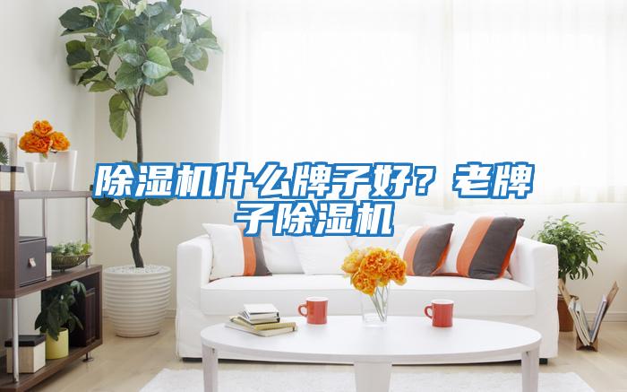 除濕機什么牌子好？老牌子除濕機