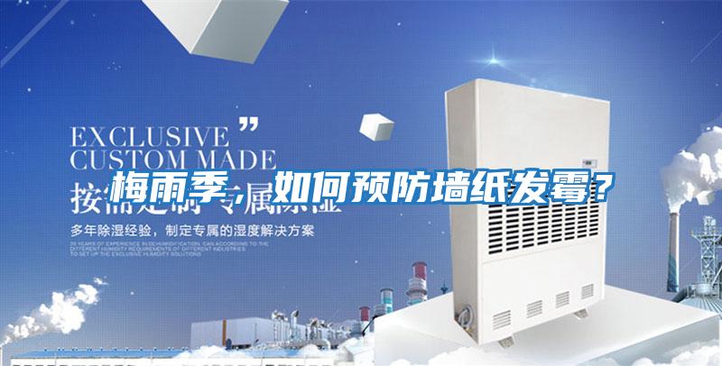 梅雨季，如何預防墻紙發霉？