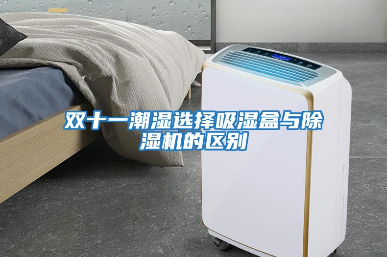 雙十一潮濕選擇吸濕盒與除濕機的區別