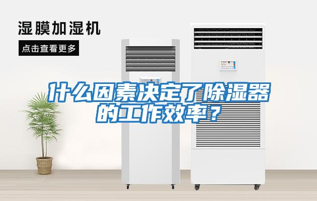 什么因素決定了除濕器的工作效率?
