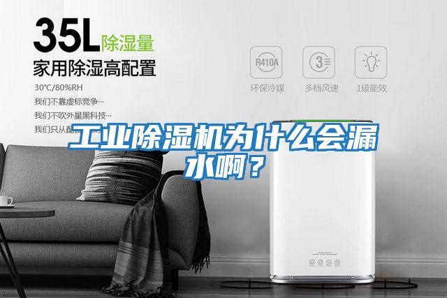 工業(yè)除濕機(jī)為什么會(huì)漏水啊？