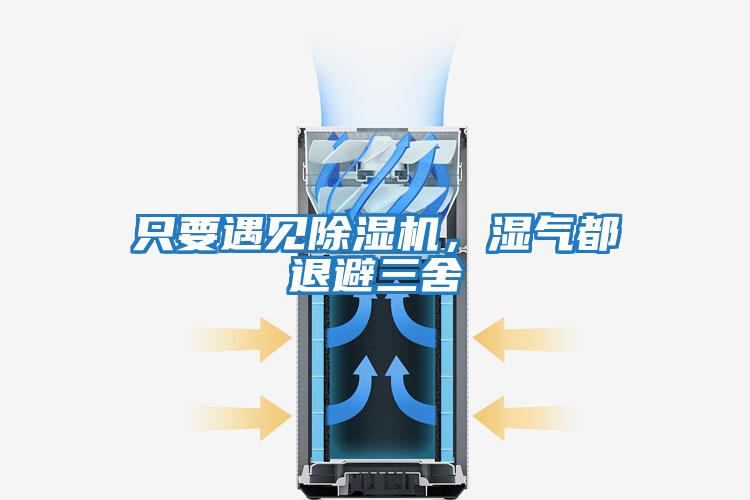 只要遇見除濕機,濕氣都退避三舍
