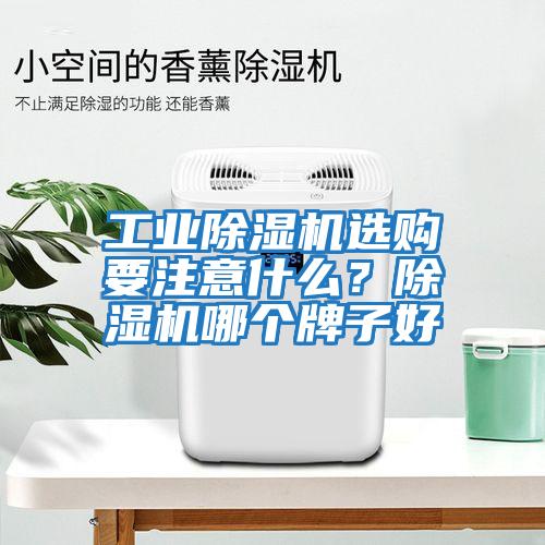 工業(yè)除濕機(jī)選購要注意什么?除濕機(jī)哪個牌子好